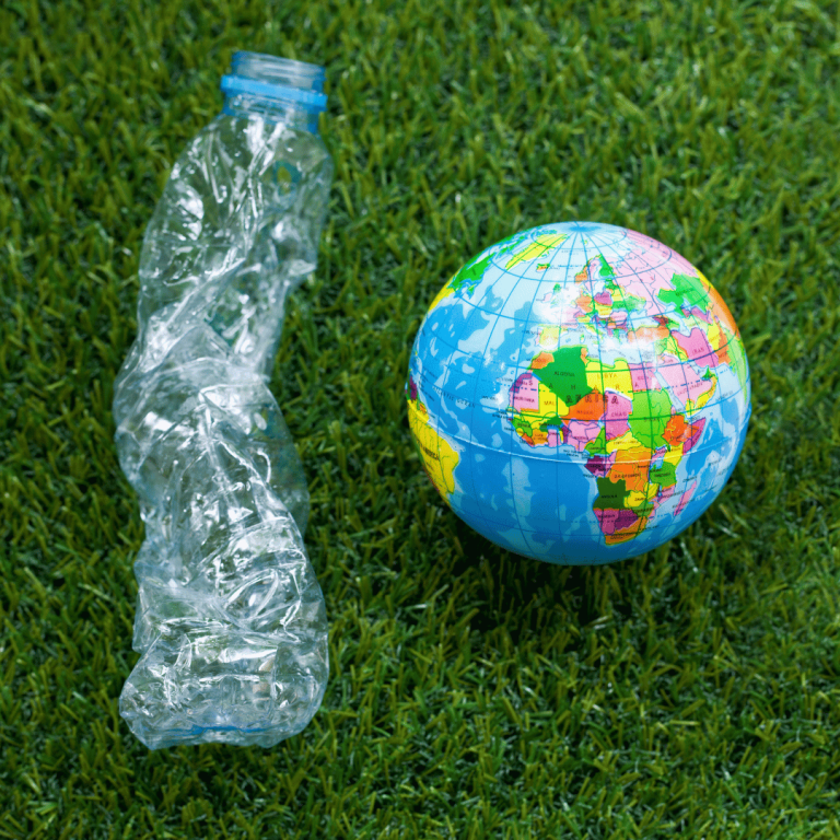 קניות לבית: טיפים לצרכנות חכמה לאורח חיים בר קיימא ומסוגנן