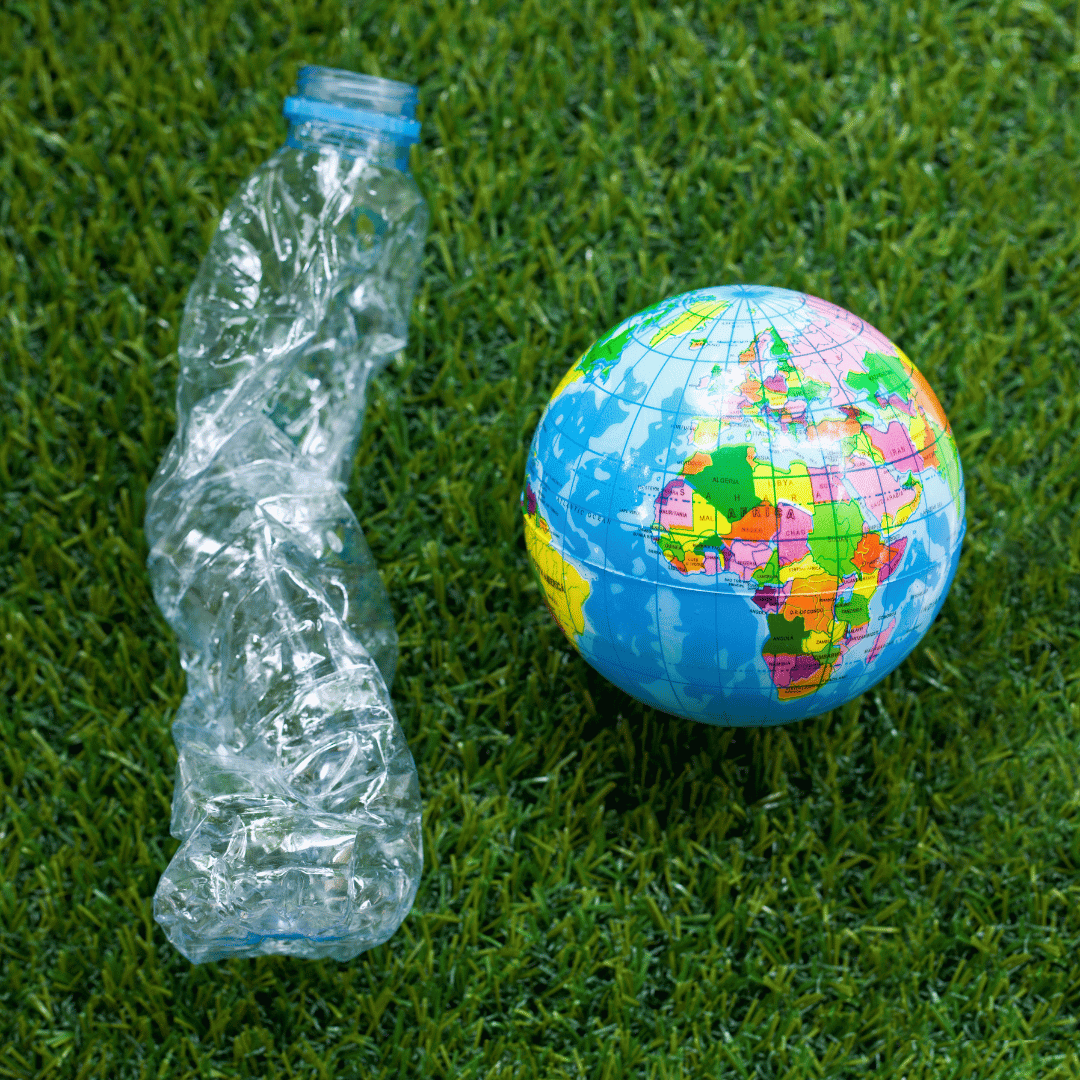 קניות לבית: טיפים לצרכנות חכמה לאורח חיים בר קיימא ומסוגנן